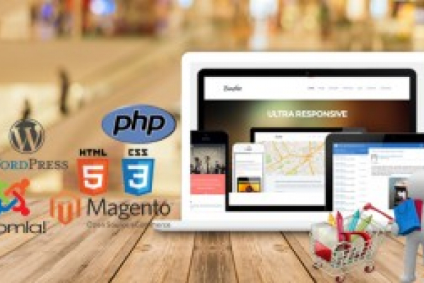 The Increasing Demand of Website Designing
