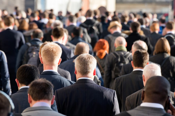 Third Party Claims For Professional...
