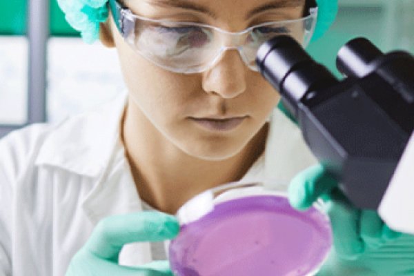 R&D Tax Credits Consultants | Counting...