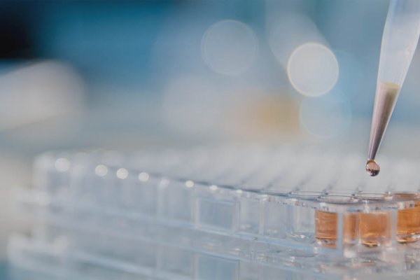 Apoptosis & Cell Death - CD BioSciences