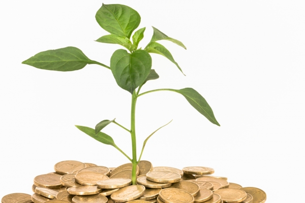 Funded Business Support | Business Doctors