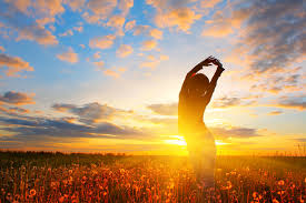 article cover - What is Happiness? &lsquo;To be Happy in 7 Phases&rsquo;