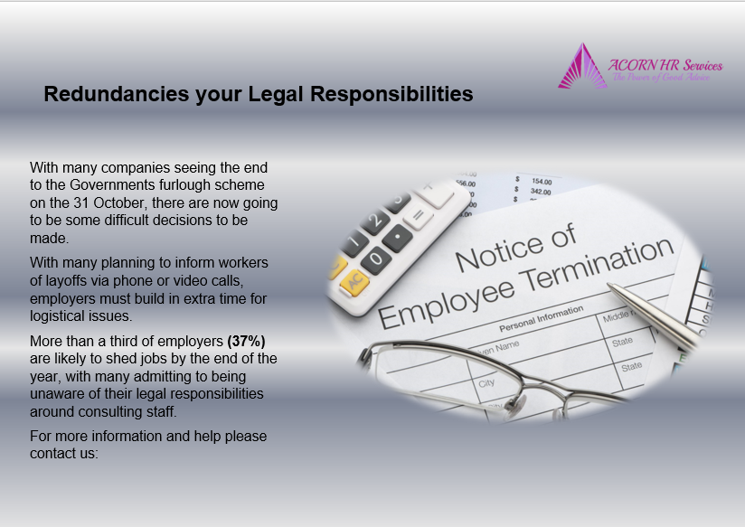 article cover - Support with Redundancies