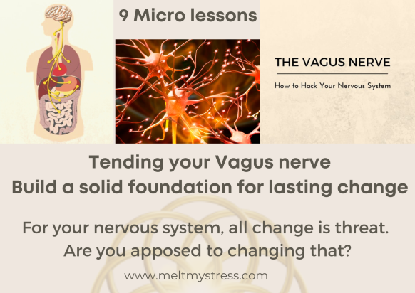 article cover - Why ist essential to first stimmulate your Vagus Nerve...