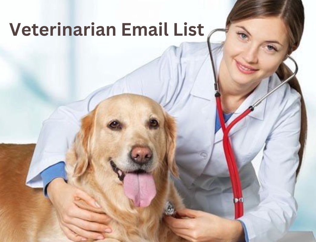 article cover - Understanding and Importance of Veterinarian Email List...