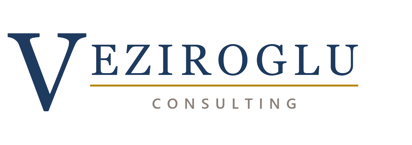 Veziroglu Consulting