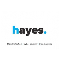 Hayes Associates Limited 