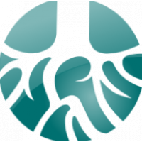20trees Consulting Ltd