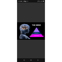 Great Mind international