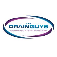 The Drain Guys Ltd
