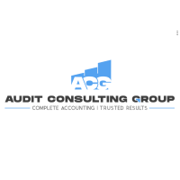 Audit Consulting Group