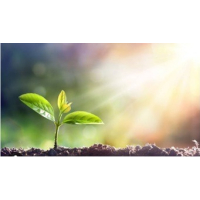 AGR ACCOUNTS LTD