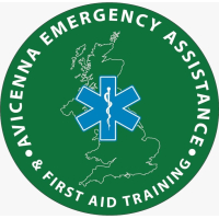 Avicenna Emergency Assistance Ltd Plus Training
