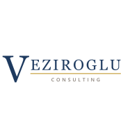 Veziroglu Consulting