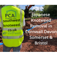 Southwest Japanese Knotweed Removal Cornwall Devon Bristol Somerset