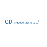 Creative Diagnostics