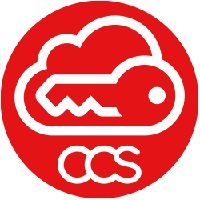 Cyber Consultancy Services