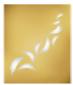 Most High Marketing Ltd