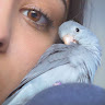 Areeba Iftikhar