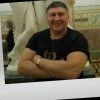 Larry Marsella