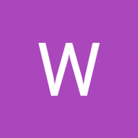 Wonderland Agency - Business Consultant 