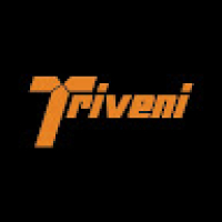 Triveni Group