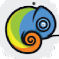 Creative Nexus Agency