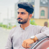 Ali Raza - Accountancy 