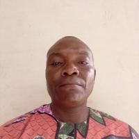 OKWUDIRI OGBONNA 
                      - Consultancy 