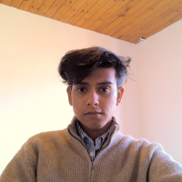 Kaushik Bodhare
