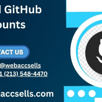 Alfred  Chico - Accountant | New York