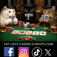 BRANDON Alarcon - Owner in Fat Cats Casino Events - 
