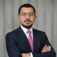 Mohamad Arabi 
                      - Business Consultant 
