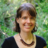 Helen Todd 
                       