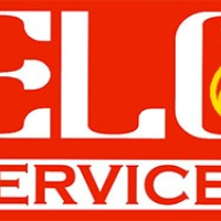 ADETAYO IDOWU - Manager in ELC Services - 