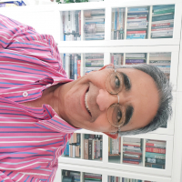 Des Vadgama 
                      - Business Consultant 