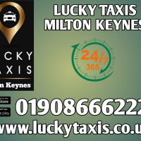 Lucky Taxis - Logistics Consultant 